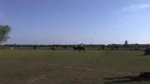 Did Jamie Foxx really ride a horse in Django?