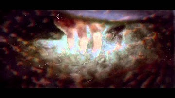 Web of Intrigue Joseph Sorenson