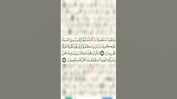 #القرآن_الكريم #اكسبلور #تيك_توك #المصحف #القران #لايك #الرحمن #تلاوات_رائعة #راحة_نفسية #المراه