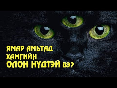 Видео: Орос улсад ямар хортой амьтад амьдардаг вэ?