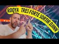 Roqya  docteur maher pour sortir la sorcellerie les djinns de lextrmit des pieds et mains