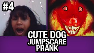 Cute Dog JUMPSCARE PRANK on Omegle #4!