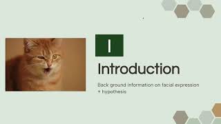 Facial Expressions - Lab Presentation