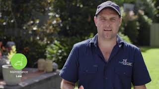 Palmetto Soft Leaf Buffalo Lawn ALC Turf Australian Lawn Concepts Queensland screenshot 5