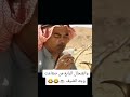 عويذر والفنجان الرابع من صقاعت وجه الضيف اكسبلور تفاعل ضحك دويتو لايك ترند متابعه راس غليص