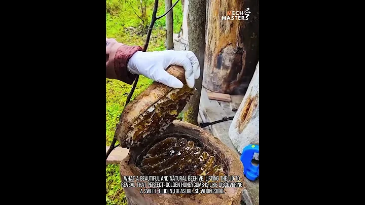 I love this video so much #shorts #funny #fails