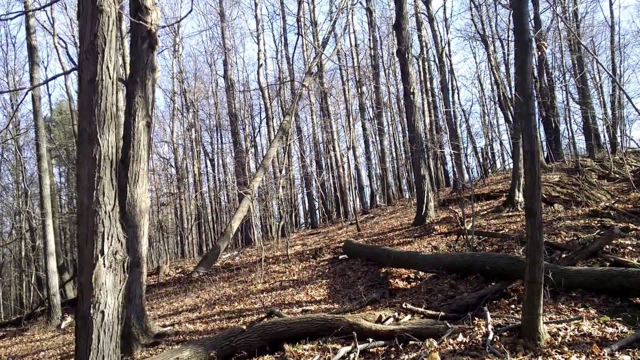 Using the Logging Cable and Winch YouTube