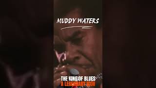 Chicago Blues 🔥 The Ultimate Blues Guitar Moment #Shorts #ChicagoBlues #BluesGuitar
🎸 **Blues Music** brings together soulful blues guitar, classic Chicago blues, Delta blues, and timeless electric blues inspired by the legendary sound of B.B. King.
Enjoy powerful guitar melodies, deep blues grooves, slow blues rhythms, and soulful electric guitar performances in this continuous live blues music stream. This **Blues Music** playlist is created for listeners who love classic blues guitar, Chicago blues, Delta blues, and authentic blues-inspired sounds.
**This live stream features original blues music inspired by the legendary style of B.B. King. It is not an official B.B. King recording and is not affiliated with the B.B. King Estate or any official representatives.**
🎸 Blues Music
🎵 Chicago Blues
🎶 Classic Blues Guitar
🔥 Electric Blues Guitar
🌵 Delta Blues
🎼 Slow Blues Music
🌙 Late Night Blues
🚗 Night Drive Blues
☕ Coffee Shop Blues
📻 Live Blues Music 24/7
Whether youre working, studying, reading, driving at night, enjoying a cup of coffee, or simply listening to great guitar music, let these soulful **Blues Music** performances create the perfect atmosphere.
If you enjoy **Blues Music, Chicago Blues, Delta Blues, Classic Blues Guitar, Electric Blues, and B.B. King Inspired Blues**, please **Like, Subscribe, and turn on notifications** for more original blues-inspired live music.
🎸 **Keep the blues alive. Keep the guitar talking.** 💙
#BluesMusic #ChicagoBlues #BluesGuitar #BBKingInspired #DeltaBlues #ElectricBlues #ClassicBlues #SlowBlues #LiveBlues
#rusia #africa #ukraine #chicagoblues #bbking #чикагоблюз #чікагоблюз Chicago Blues 🔥 The Ultimate Blues Guitar Moment #Shorts #ChicagoBlues #BluesGuitar