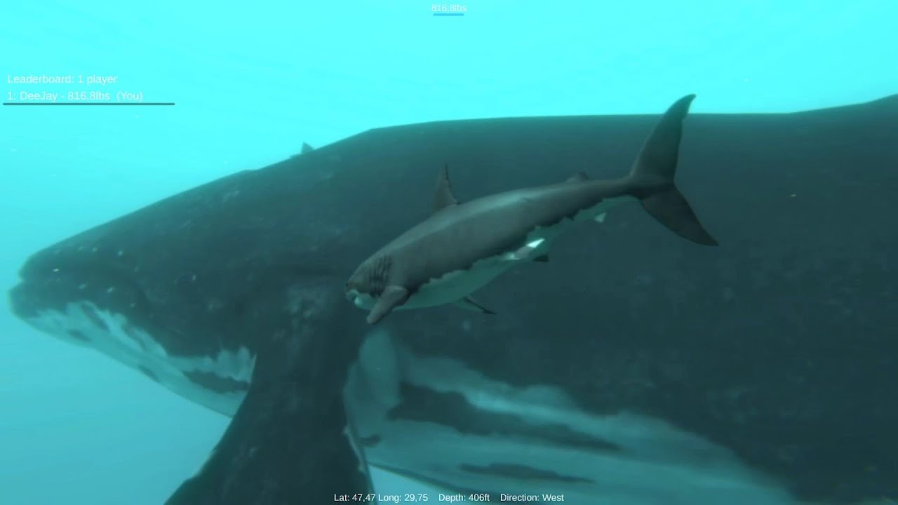 Alpha Shark / Gameplay