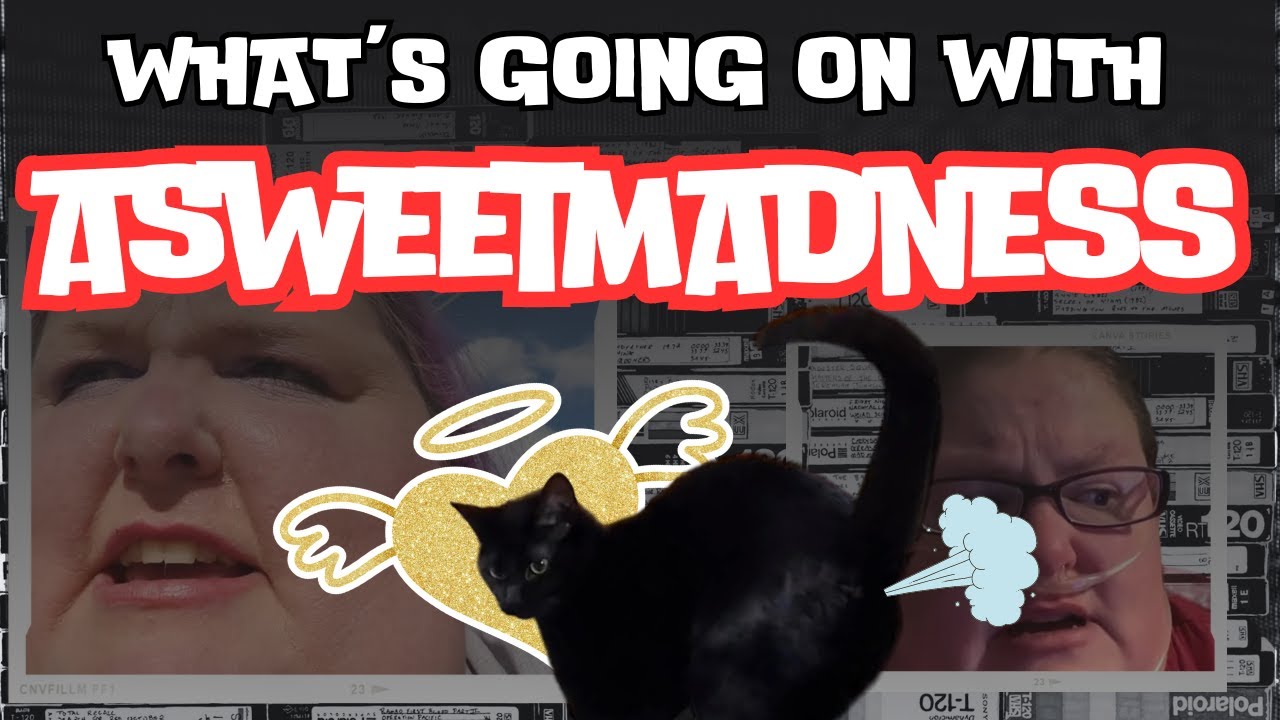 What's Going On With Willow? - An update on asweetmadness