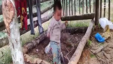 “He Wandered Away Looking for Happiness… But His Mother’s Heart Broke Searching for Him”