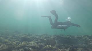 Diving at Alte Zollbrücke Rheinau 31.12.2021