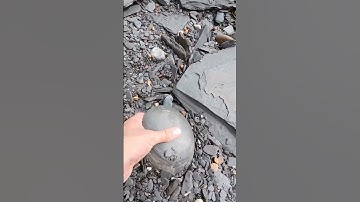 Cracked cannonball nodule on the beach! But is there anything in it⁉️🤔 #fossils #shorts #rock #coast