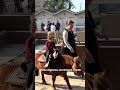 Ферма в Флорианополис