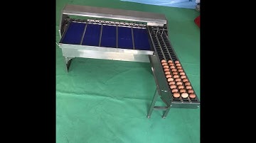 Factory direct supply high efficiency egg candling machine chicken duck egg grading sorting machine