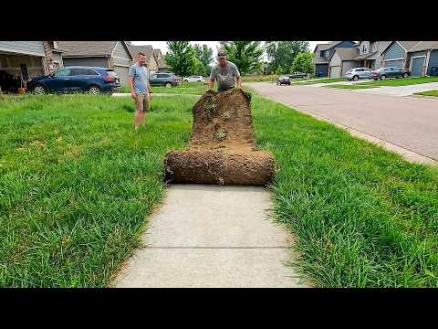 Most Overgrown Side Walks I've Ever Found!