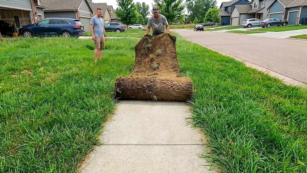 Most Overgrown Side Walks I've EVER Found!