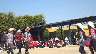 DSCN0759.AVI
