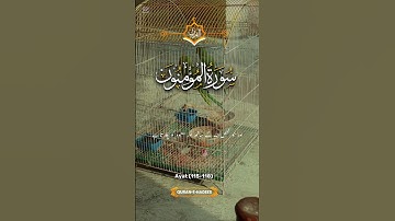 Surah Al-Muminoon | With Arabic Text HD | سورة المؤمنون