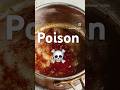 Heated honey = slow poison 🍯 #HoneyFacts #AyurvedaTips #RawHoney #NaturalHealing #WellnessReel