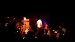 Download Gustav knut For Android