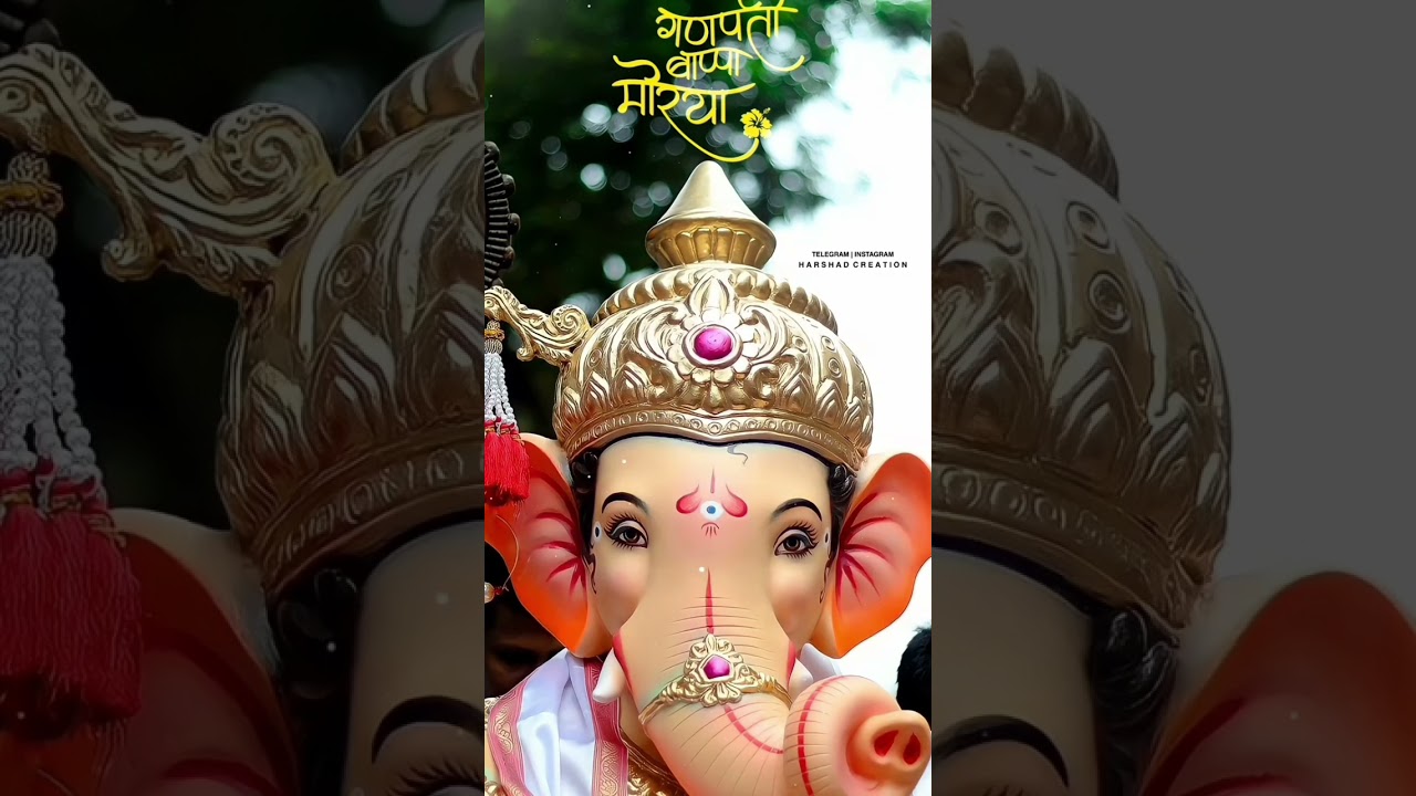 May the blessings of Ganesh forever protect you and your family. #bappa #ganpatibappa #morya #love