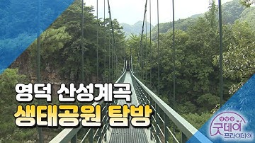 영덕 산성계곡 생태공원 탐방[굿데이프라이데이]