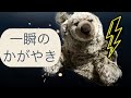 たった一つ、ワンシーン思い出すだけで力がわいてくることってないですか