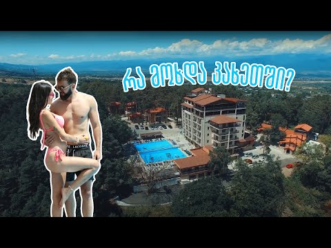 რა მოხდა კახეთში? ჩვენი პირველი ვიდეო ვლოგი - თემო და ნინი