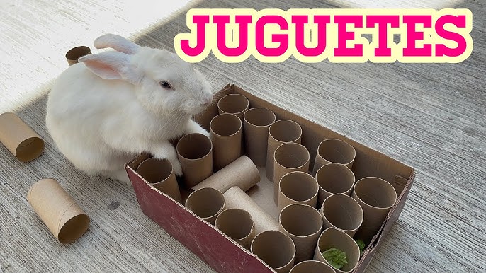 3 JUGUETES CASEROS para CONEJOS 🐰 Con Materiales Reciclados 