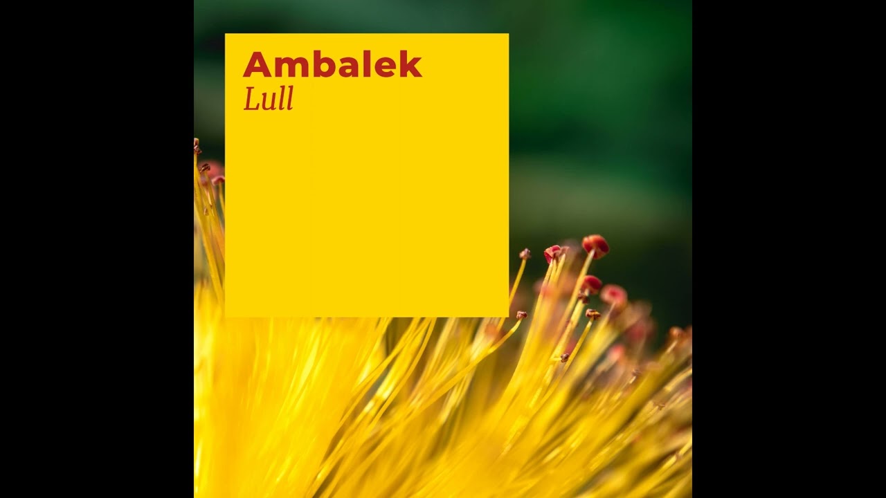 Watch Ambalek - Lull (2023) on YouTube Watch Ambalek - Lull (2023) on YouTube