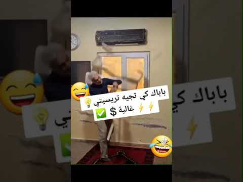 طار الحمام