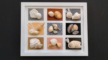 Easy DIY shell wall decor. DIY seashell home decor