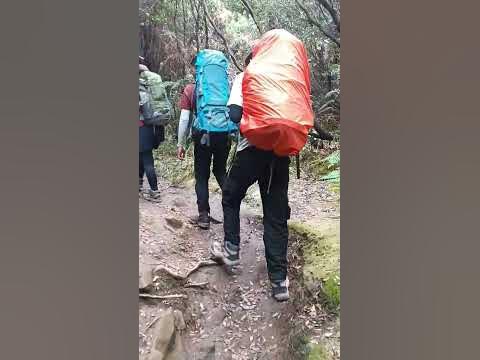 Track hiking, Papandayan Mountain #papandayan #hiking #hikingadventures ...