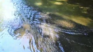 Tomlinson Run State Park, WV -- Off the Beaten Path