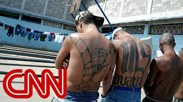 MS-13 gang members: Trump makes us stronger