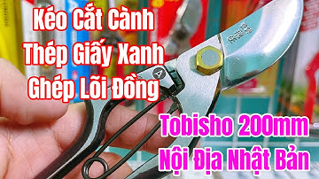 [ Tập 1709 ] Kéo cắt cành Thép Giấy Xanh Ghép Lõi Đồng Tobisho 200mm nội địa Nhật Bản