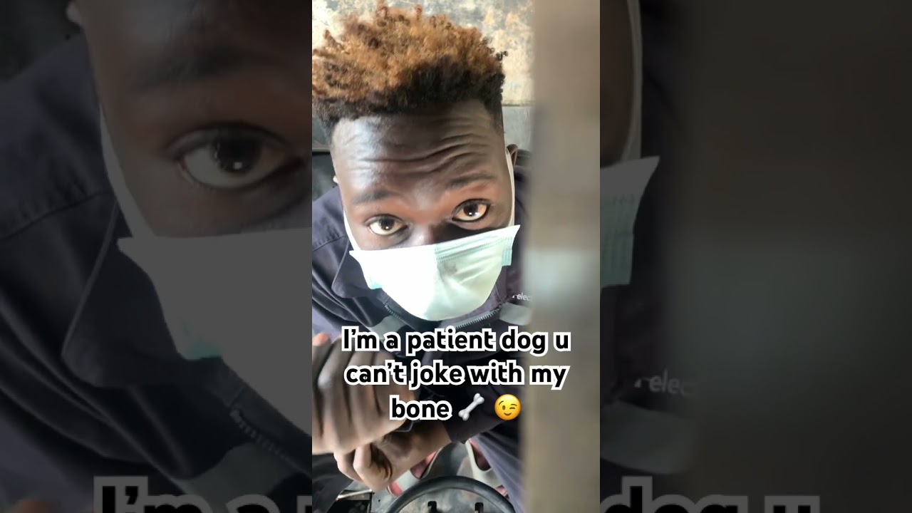 You don’t joke with a patient dog’s bone🦴😡. #trend #music #dogg #doggface #patna #youtube #shorts