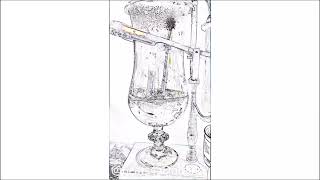 Famous Morning Java Joy Remix Song Siphon Brew 2025 Net Worth