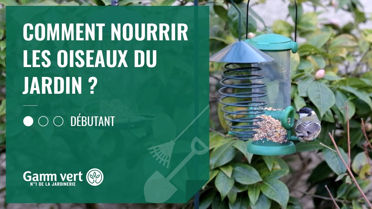 Votre jardin : le garde-manger des oiseaux en hiver