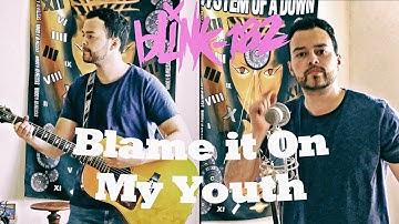 Blink 182 - Blame It On My Youth (Acoustic Cover) by Lucas D.