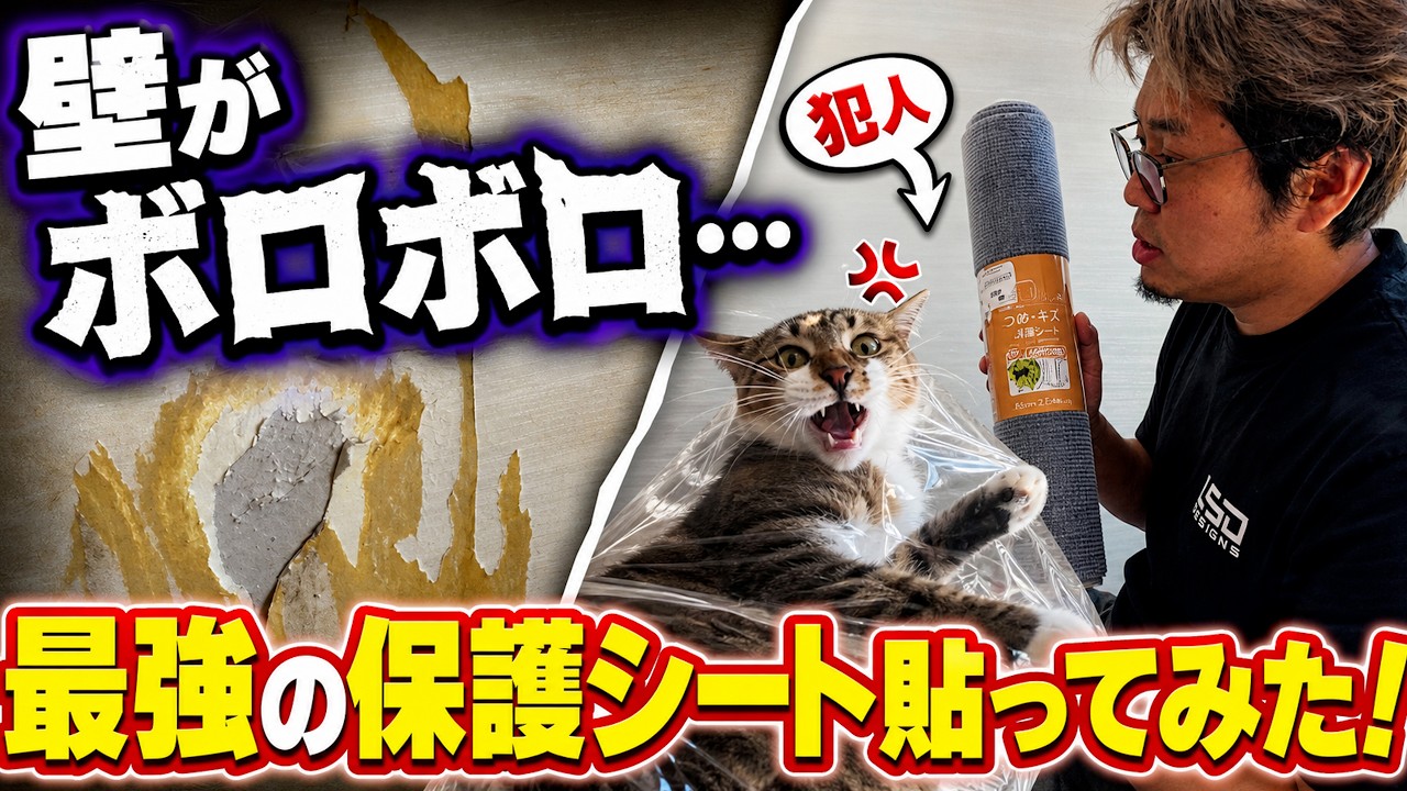 Cat Mischief Solutions] Protecting Walls and Sliding Doors! The