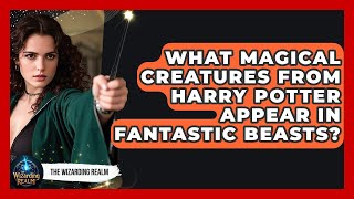 What Magical Creatures From Harry Potter Appear in Fantastic Beasts - The Wizarding Realm