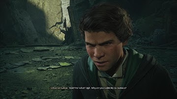 Hogwarts Legacy Sebastian Argument 2