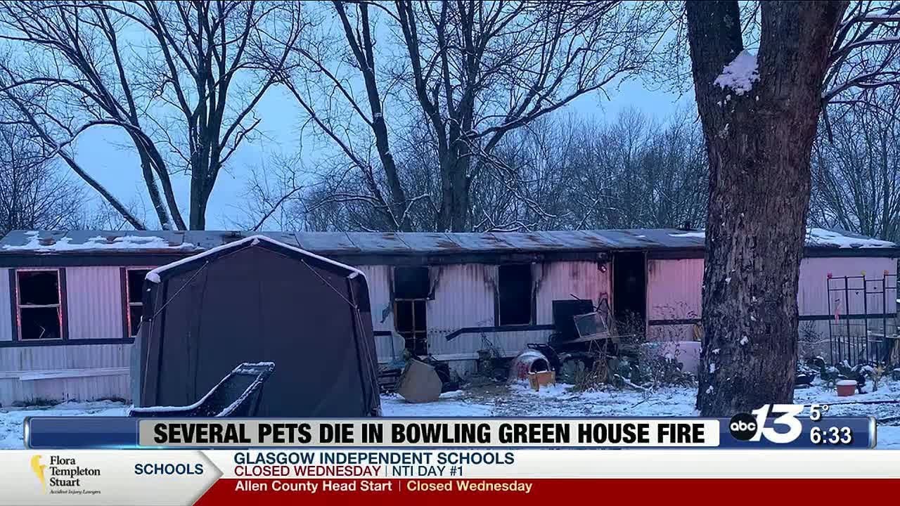 Several Pets Die in Bowling Green House Fire - YouTube