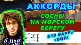 СОСНЫ НА МОРСКОМ БЕРЕГУ Аккорды 🎸 ЦОЙ группа КИНО ♪ Разбор песни на гитаре БЕЗ БАРРЭ ♫Для начинающих