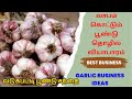      how to do garlic business ideatipstricks  business tips