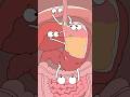 Why does weight loss easily lead to gastroptosis?#animation #funny #shorts #health #trending