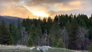 45 Mph Wind Gusts Vs One Tripod Windstorm In December