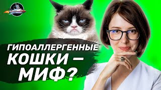 Страшные истории из жизни аллергика. Мифы об аллергии. Ольга Жоголева. Ученые против мифов 16-3